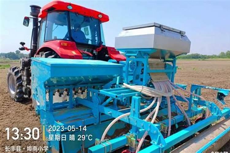 辣椒田专用除草剂