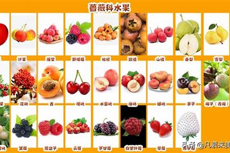 西瓜施什么肥料最好