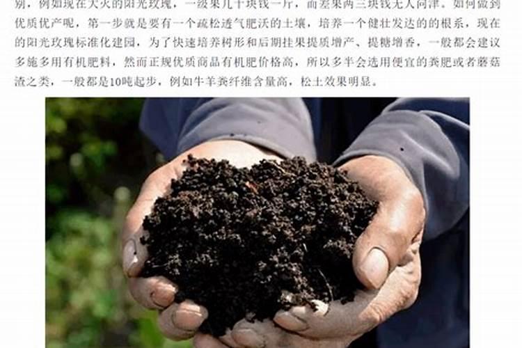 海藻肥怎么用
