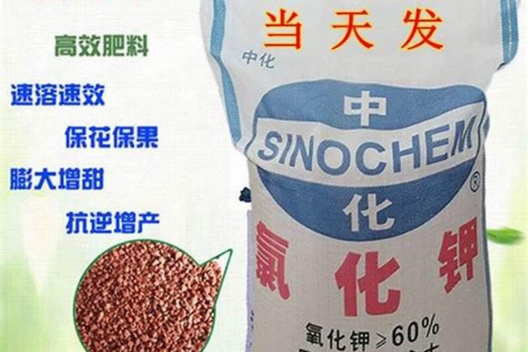 哪些是生产尿素的上市公司龙头？