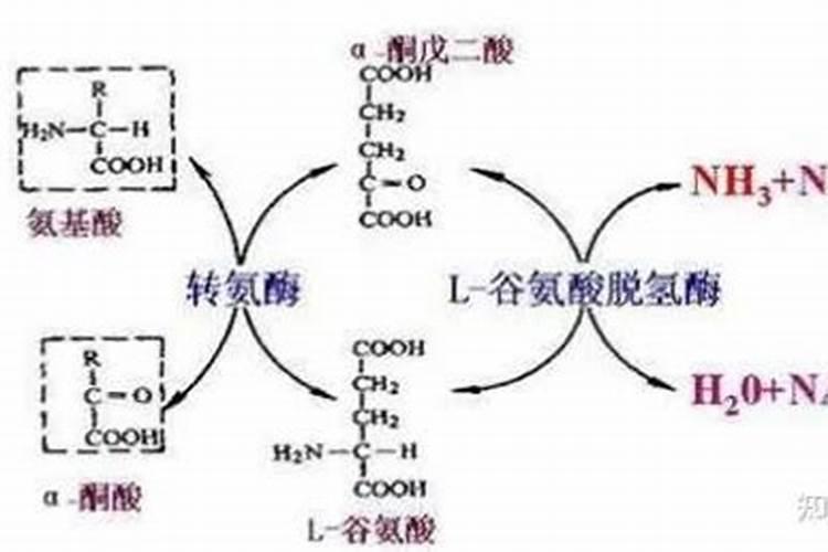 氮肥的作用,天然的氮肥有哪些