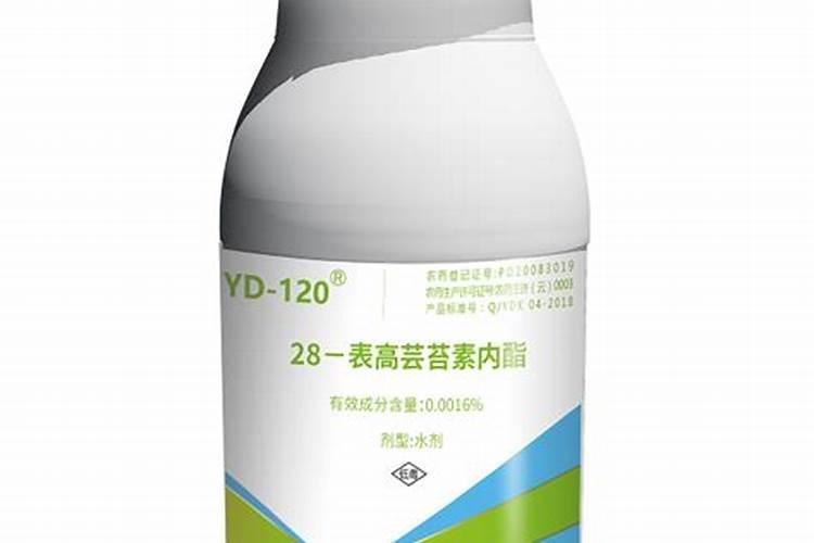 芸苔素内酯对烟草的用途有哪些及使用技术和注意事项是什么？