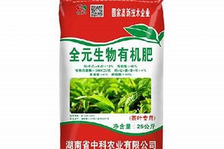 兰花喷叶面肥和浇水需要注意些什么