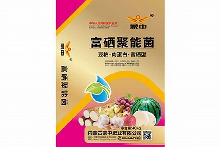 内蒙古有什么特产