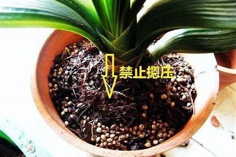富硒水稻是什么意思？大米多少钱一斤？国家标准是什么？