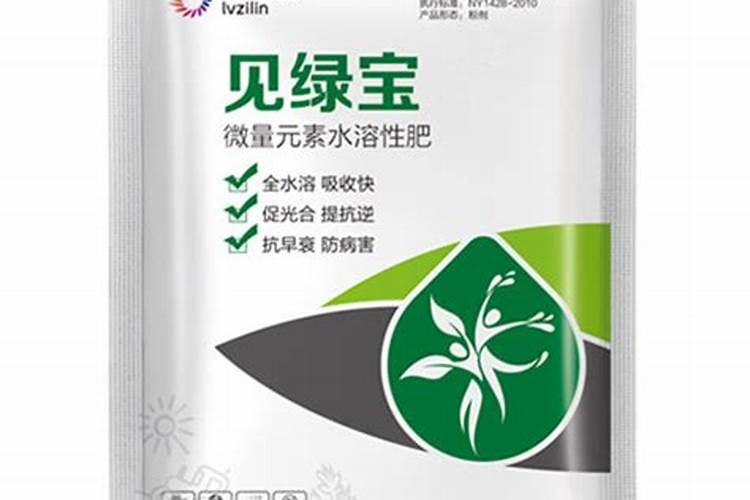 君子兰上什么肥料最好