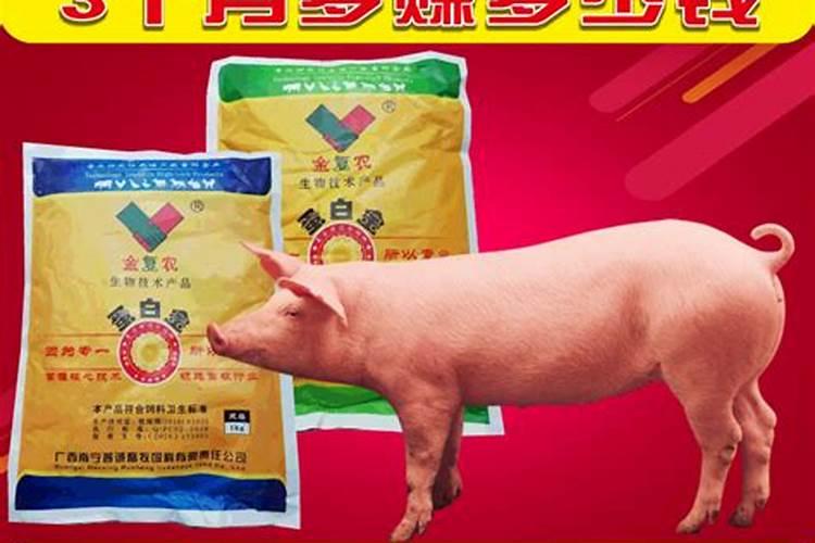 鱼饵料中蛋白质有什么作用
