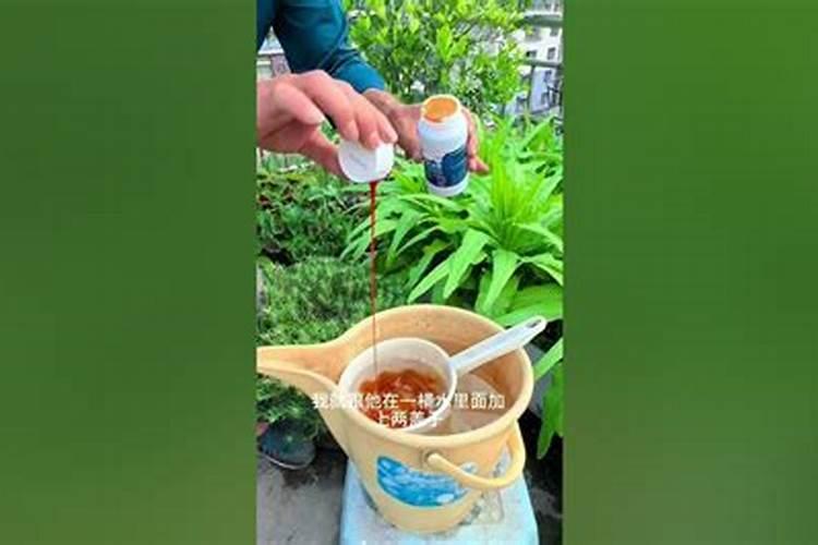 西红柿为什么只开花不坐果？怎样管理才能保住果？