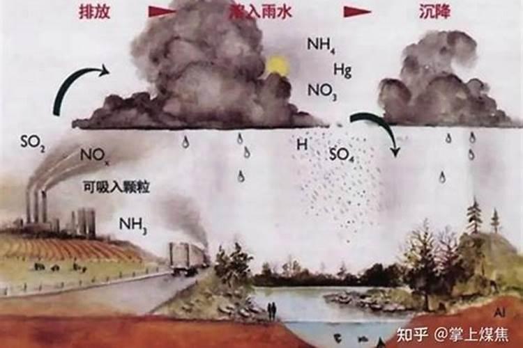 大量元素和微量元素有哪些 大量元素和微量元素有什么