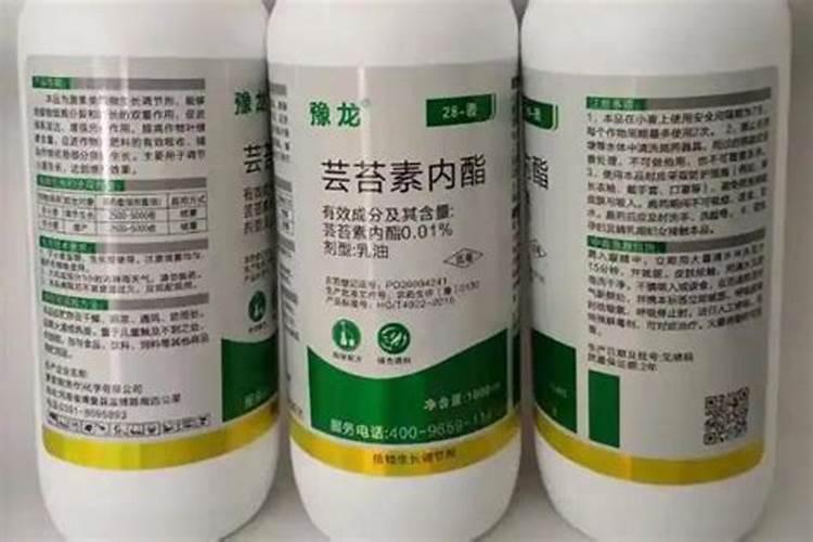 20种水果酵素配方视频(20种水果酵素配方)