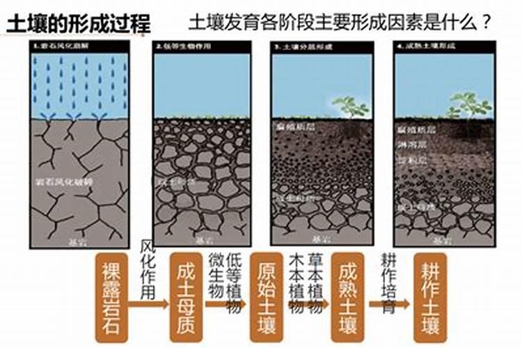 红壤土的特点
