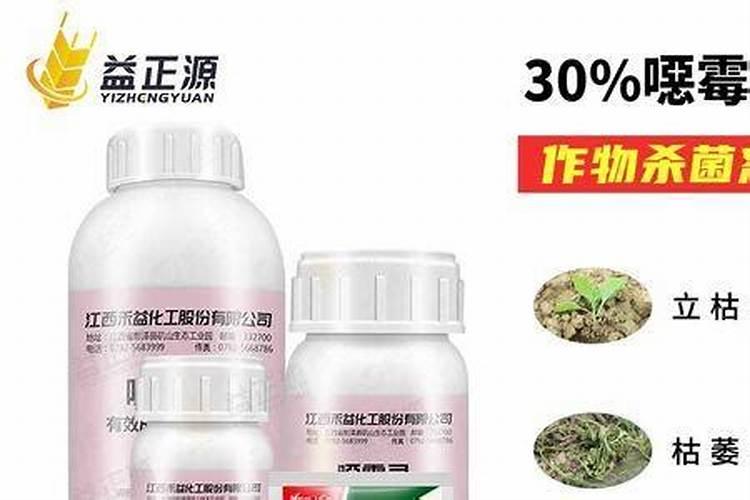 化肥的应用是导致有益菌和营养素缺少的原因吗？