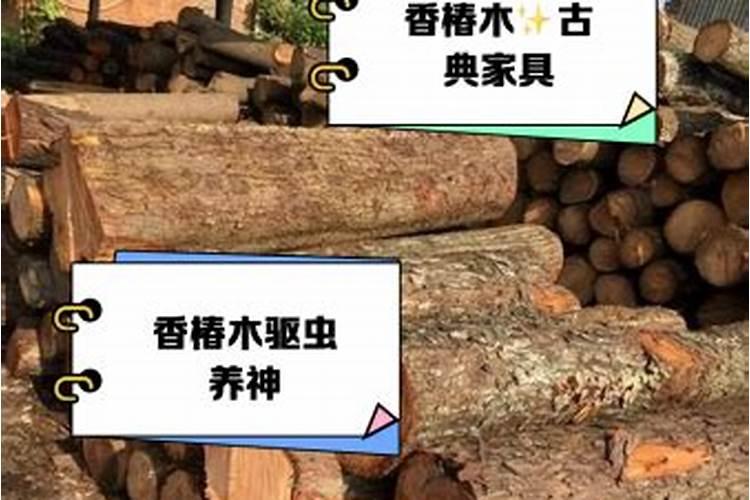 小麦打除草剂能加芸苔素吗