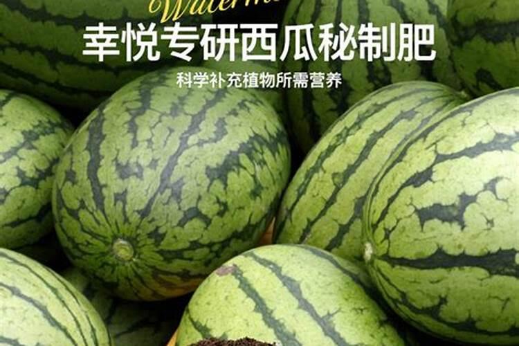 种西瓜用什么肥料最好