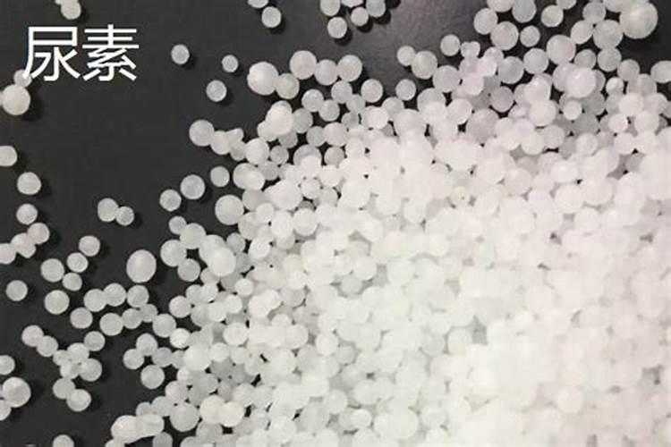 板蓝根的种植方法