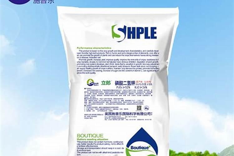 菊花怎么施肥 用什么肥料好