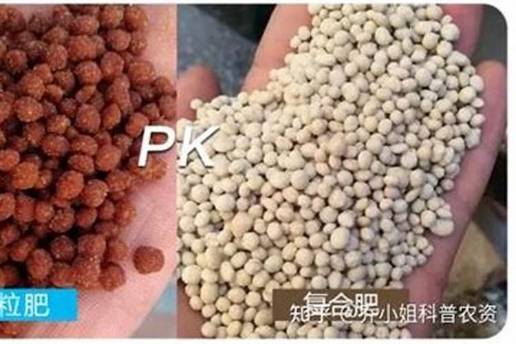 喷双孢菇的水溶肥需要加微量元素吗