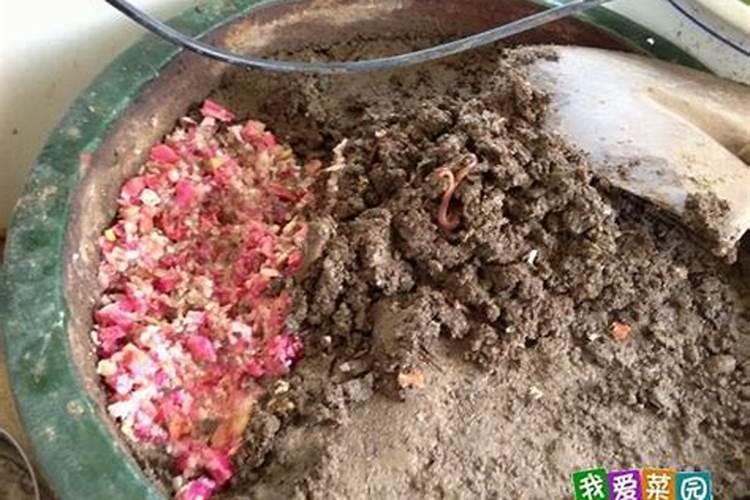 什么茶叶含钾最多
