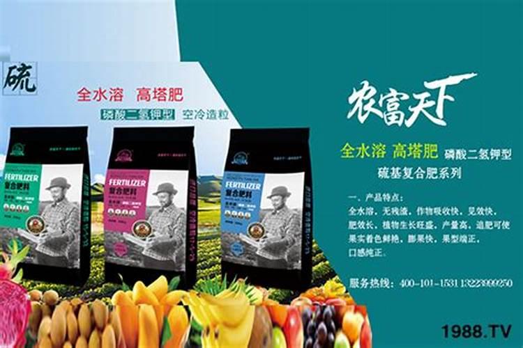 露地西葫芦种植技术