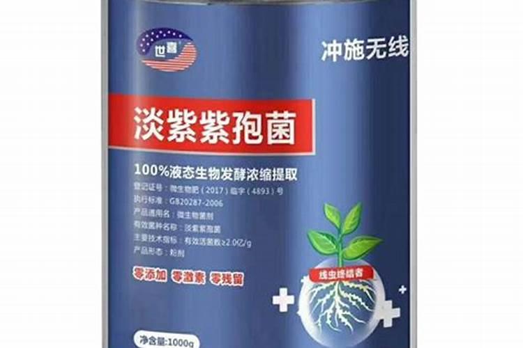 光阴里的故事结局陈一朵和毕来福在一起了吗