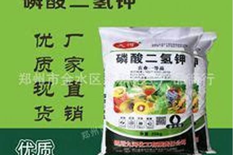 农药化肥股票龙头股有哪些？