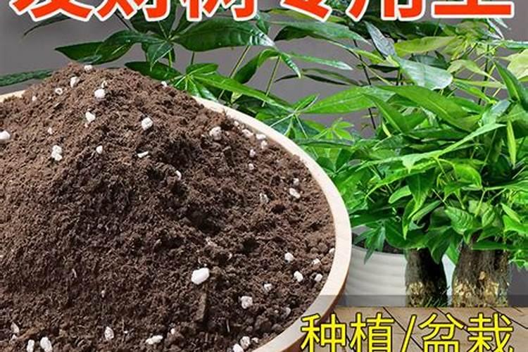 养花用什么肥料好