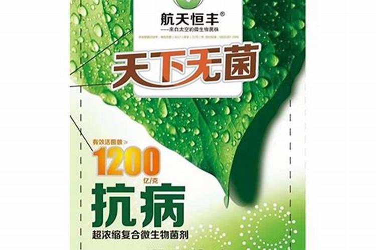 小麦出穗什么时候打药最好