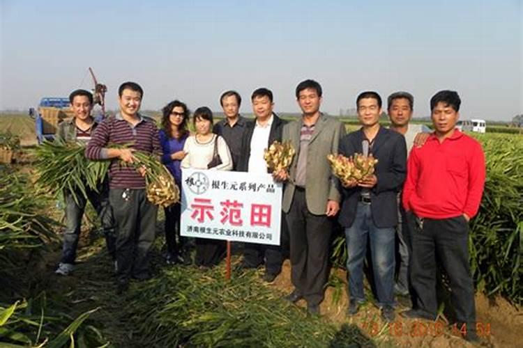 潍坊根源生物科技有限公司怎么样？