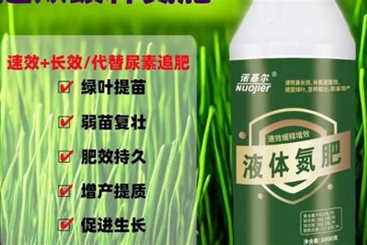 现在承包农户的地,一亩5、6百元,种玉米小麦一亩能挣多少钱？百度...