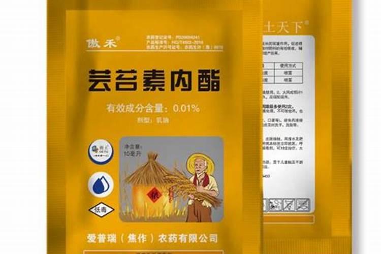 芸苔素内酯的3种误解、5大作用、5大经典复配方案!