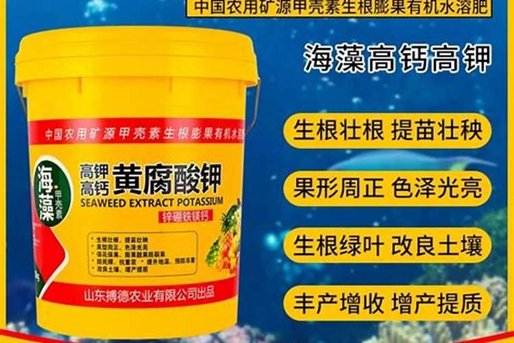 落地生根施什么肥