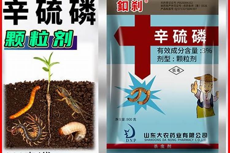 红薯最好的肥料
