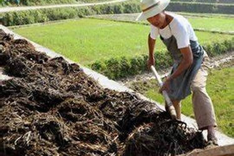 家庭沤肥的方法(怎样在家沤制肥料)