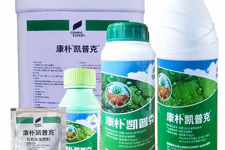 盆栽石斛兰花的叶面肥用那种好