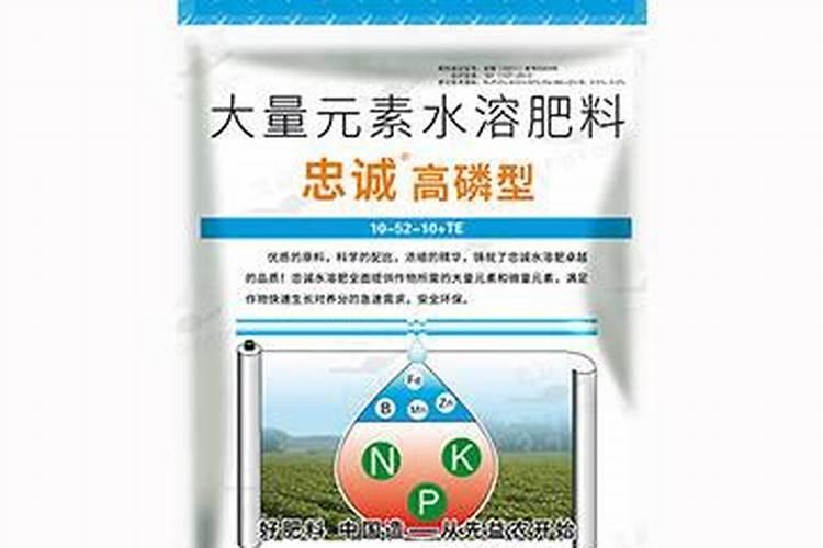 苹果在套完袋子后,究竟还用不用浇水呢