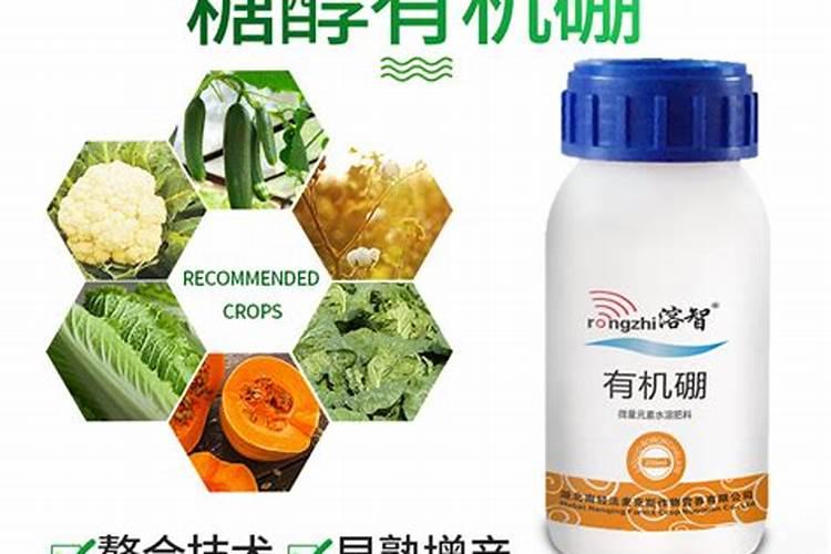 硼肥在什么时候喷施好