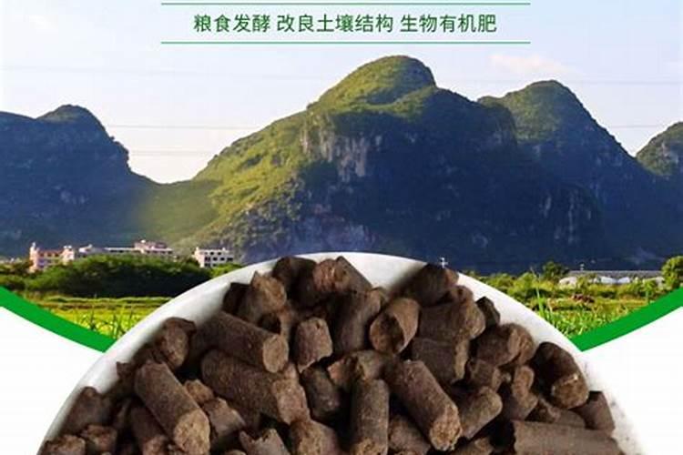 豆饼肥料的正确使用方法