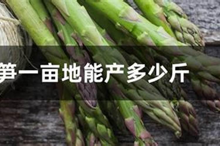 芦笋怎么种植