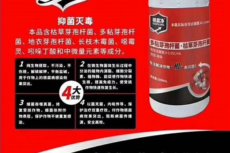 防治葡萄树的根腐病用天清微量元素效果怎么样？