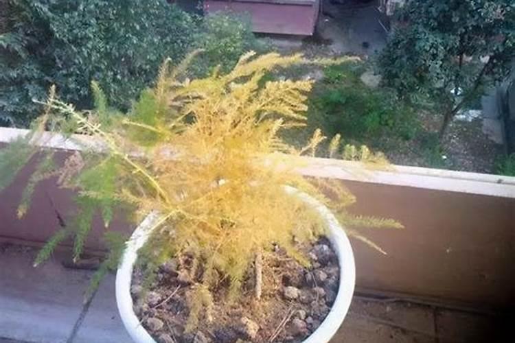 云南昆明潮湿吗？一年四季的温度变化是怎样？冬天最冷会多少度？