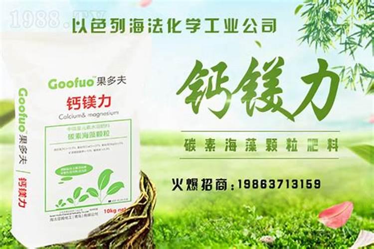 我们这买不到给栀子花用的硼镁肥,请问专家们可有什么能代替的吗？