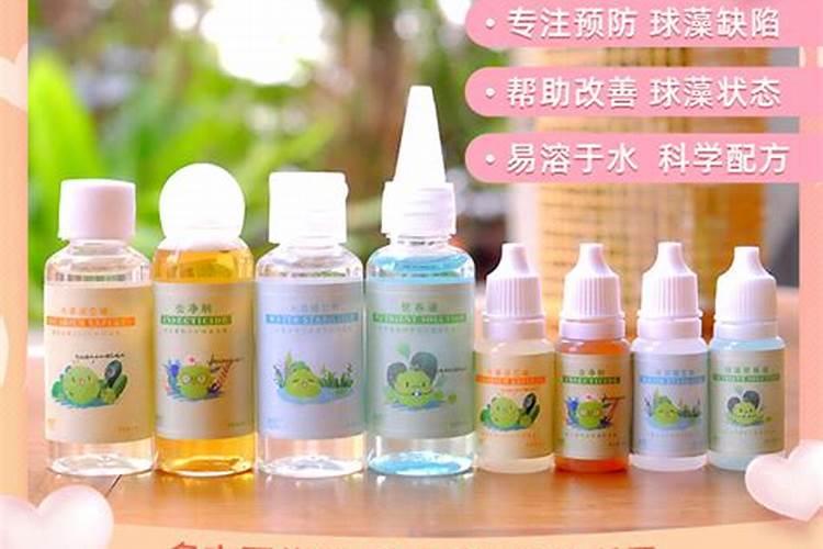 海藻球怎么养护炸毛