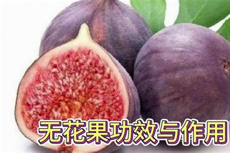 无花果施肥用什么肥料