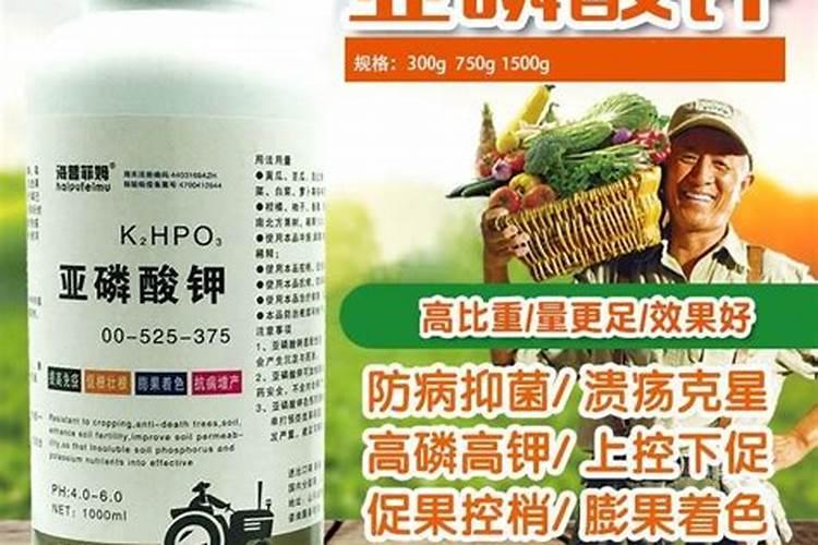 番茄膨果叶面肥效果最好的是哪种