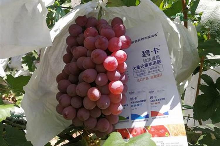 水溶肥只能浇地冲吗？,下雨的时候水溶肥兑水用喷雾器喷在地上行吗...