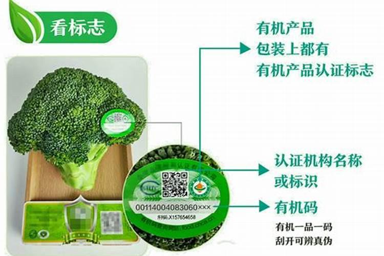小麦叶面肥什么牌子最好