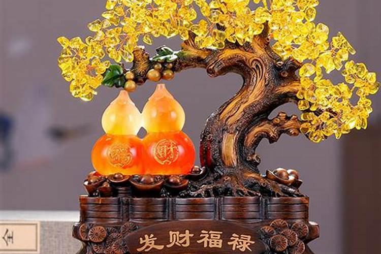 羽叶福禄桐的养殖方法和注意事项