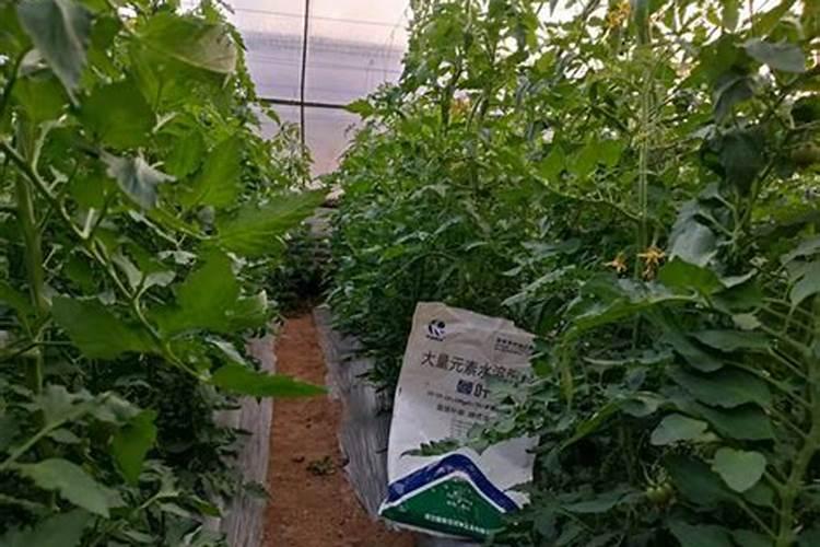 农夫果园50%混合果蔬好喝吗