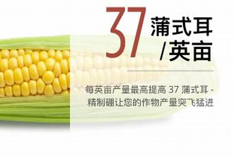 果树施硼肥怎么操作？果树施硼肥有什么用？