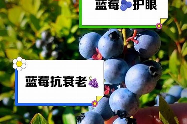 水里加什么可以在0下40度不结冰